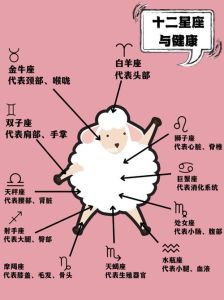 星座流行背后的科学与争议