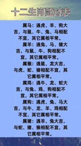 生肖女的爱情执着：鼠兔羊鸡，独特魅力展真爱