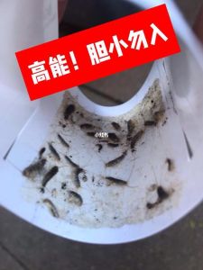 密集恐惧症揭秘与应对攻略