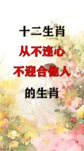 安心爱情：揭秘让人安心的三大生肖特点