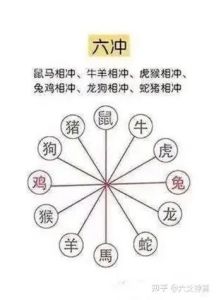 11月生肖运势：龙猴猪旺，好运财运来，奋斗成就未来