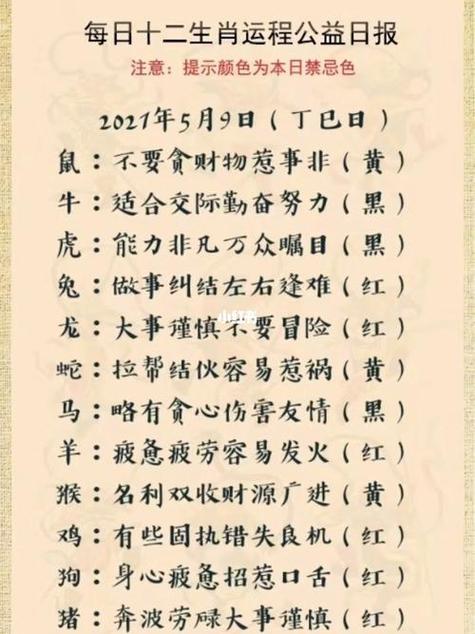 生肖运势解析：天时地利人和影响下的挑战与调整建议