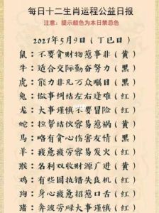 生肖运势解析：天时地利人和影响下的挑战与调整建议