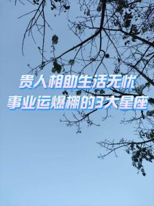 四大星座如何靠魅力吸引贵人，助力事业腾飞