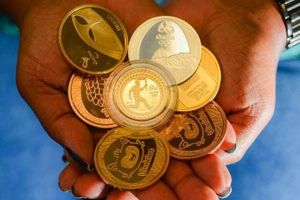 金秋生肖爱情盛宴：鼠龙兔马爱情运势高峰