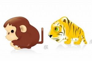 生肖虎龙猴本周运势飙升：事业爱情双赢！