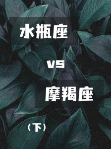 摩羯天蝎水瓶：高冷外表下的深情与成功魅力