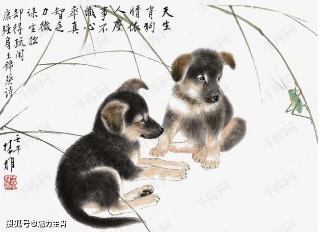 生肖牛狗龙：忠贞不二，寻找真挚爱情的关键