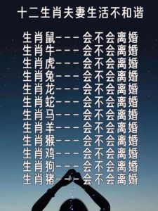 五生肖长寿秘诀：智慧理财与和谐生活