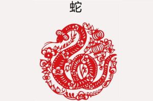 生肖鼠蛇猴猪女性：智慧伴侣的四大魅力生肖