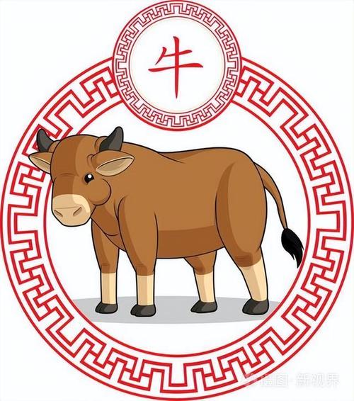 生肖嘴硬王：牛龙虎狗的个性解析与相处之道