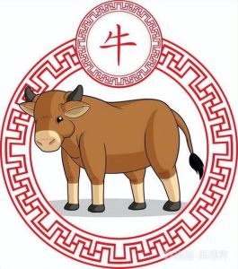 生肖嘴硬王：牛龙虎狗的个性解析与相处之道