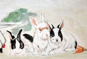 生肖女性独特魅力大盘点：兔猴蛇羊各展风采