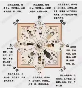 风水学正解：和谐自然，健康居住之道