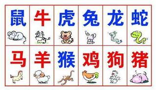 岁末生肖财运：鼠龙蛇猪如鱼得水，新年再攀高峰