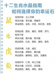 都市生肖智慧：不同生肖如何成就梦想