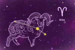11月14日星座财运高峰：白羊金牛狮子天蝎丰收日