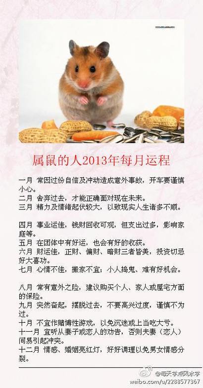 属鼠至猪每日运势：财运事业爱情全面解析