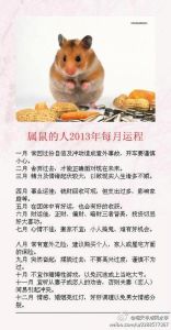 属鼠至猪每日运势：财运事业爱情全面解析