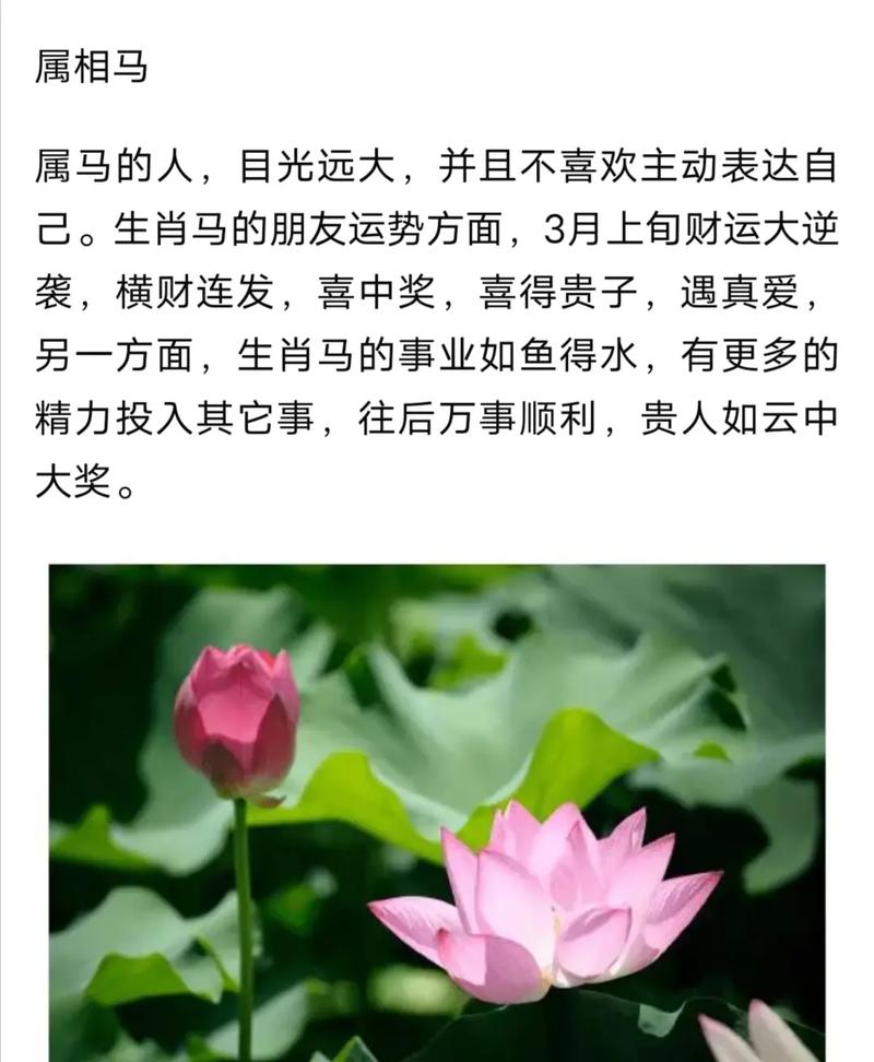 四生肖本月贵人助力，事业感情双丰收！