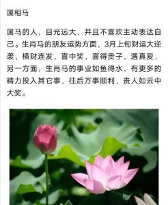 四生肖本月贵人助力，事业感情双丰收！