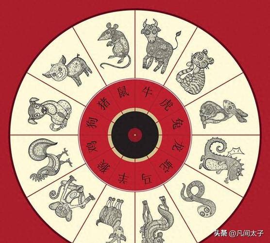 11月运势指南：四大生肖财富攻略