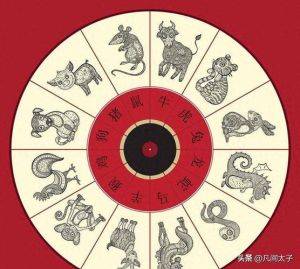 11月运势指南：四大生肖财富攻略