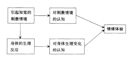 沙赫特-辛格研究：共享现实与情绪体验的奥秘
