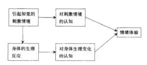 沙赫特-辛格研究：共享现实与情绪体验的奥秘