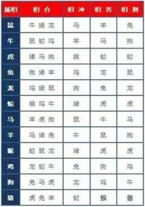 生肖性格两面性揭秘：属鼠属马如何平衡？