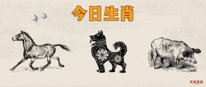 2024龙年生肖运势：鼠蛇猪丰收，爱情事业双赢