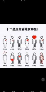 果断断情：水瓶狮子摩羯三大星座的情感智慧
