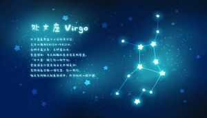 处女座摩羯水瓶：坚守真爱，宁缺毋滥的星座故事