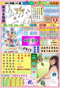 2024生肖运势：鸡虎马蛇大丰收，新机遇来临