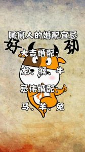 属鼠者婚配禁忌与和谐之道