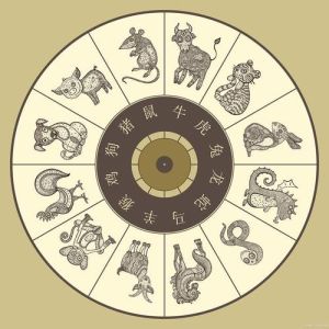 生肖智慧揭秘：龙猴牛的独到智慧