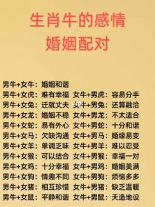生肖爱情解析：龙狗牛的真挚付出与长情告白