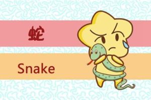 生肖女性命运揭秘：牛兔羊蛇，温柔善良书写幸福人生
