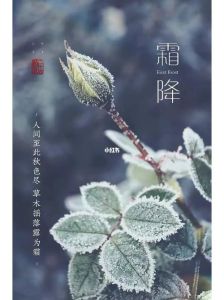 2024年11月2日老黄历：霜降节气吉凶宜忌详解