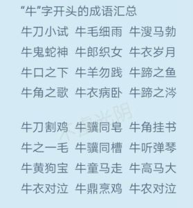 十二生肖奋斗史：牛蛇狗鸡成功之道