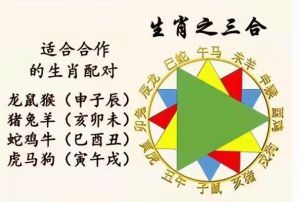 生肖魅力揭秘：龙马鸡的独特气质与风采