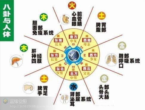 睡眠风水与健康：揭秘五行睡相与健康关系