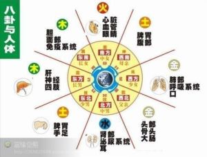 睡眠风水与健康：揭秘五行睡相与健康关系