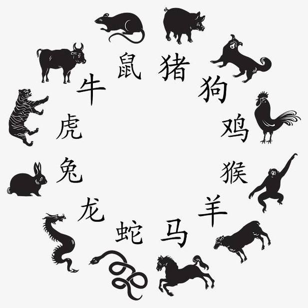 生肖鸡猴马龙社交活跃却孤独，真诚倾听赢深交