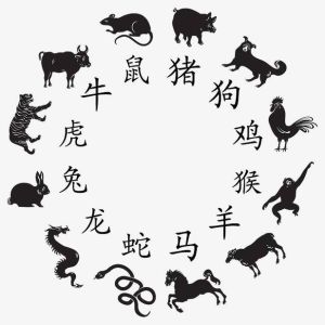 生肖鸡猴马龙社交活跃却孤独，真诚倾听赢深交