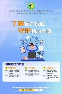 2024心理疏导新策略：缓解压力，提升心理健康