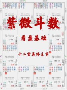 元观揭秘：好运源自态度，紫微星盘解析11月运势