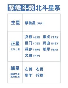 紫微斗数揭秘：星盘元素与情感关系分析