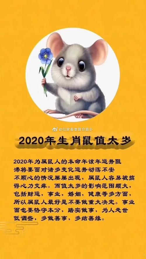 秋日生肖好运：鼠兔马羊共享幸福时光