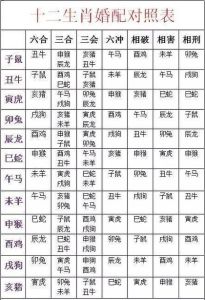 农历十月初六甲戌日生肖运势：丑牛辰龙酉鸡调整要点